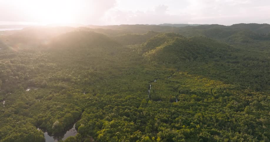 The sun shines over an extremely dense rain forest with a river meandering through it