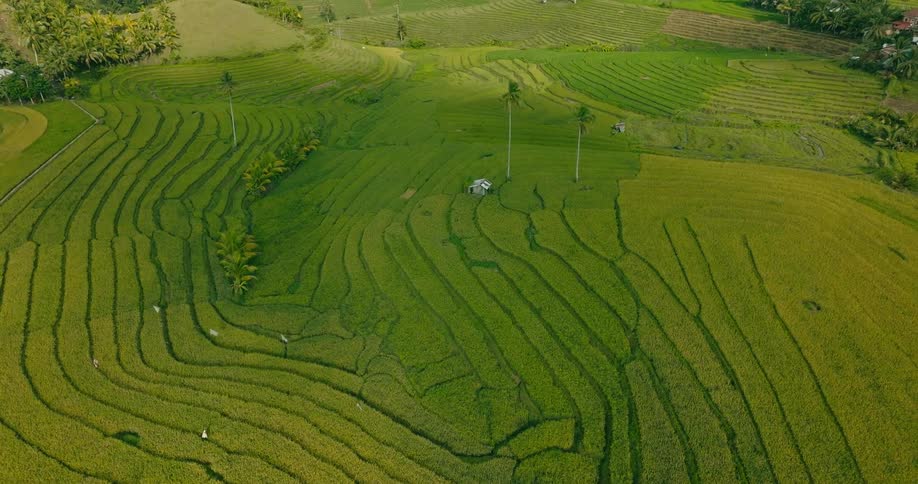 The landscape is covered with farm land