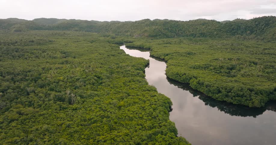 Aerial view of a winding river cutting through dense tropical vegetation with rolling green hills under an overcast sky