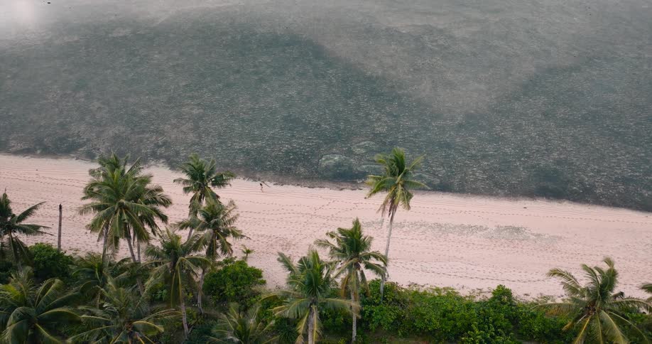 A still ocean meets the beach near the jungle