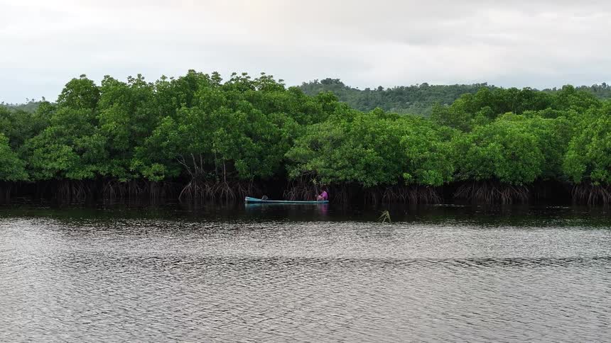 A man is rowing a canoe on a river in a forest