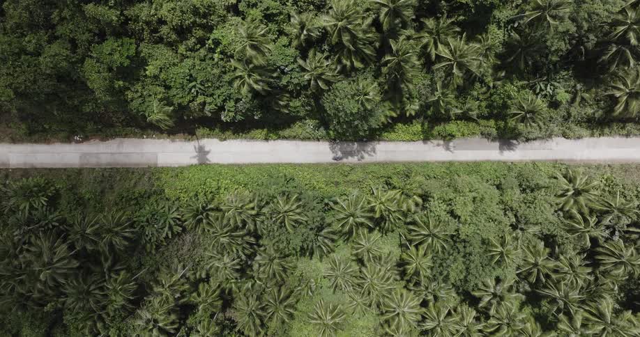 An aerial view descends toward a lone motorcyclist cruising along a road cutting through a dense tropical jungle