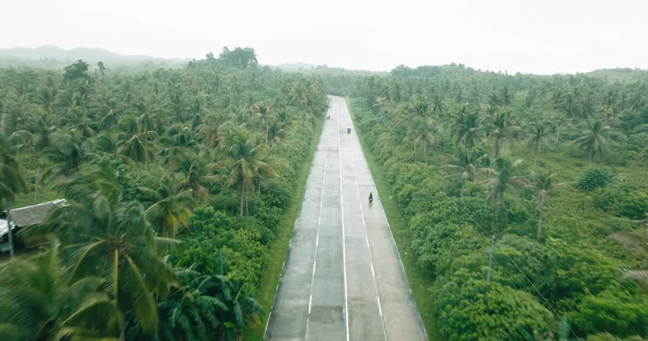 An aerial view follows motorcyclists riding down a long concrete road cutting through a dense palmcovered jungle landscape