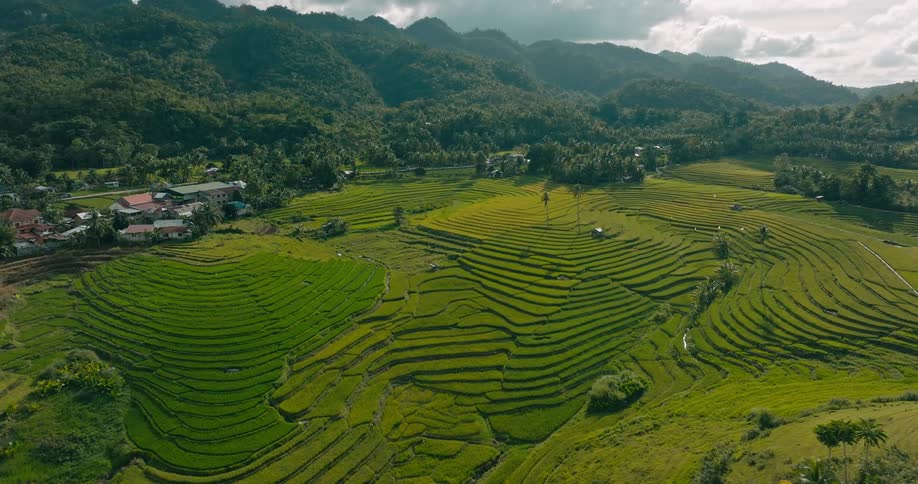 A large farm is on the green landscape
