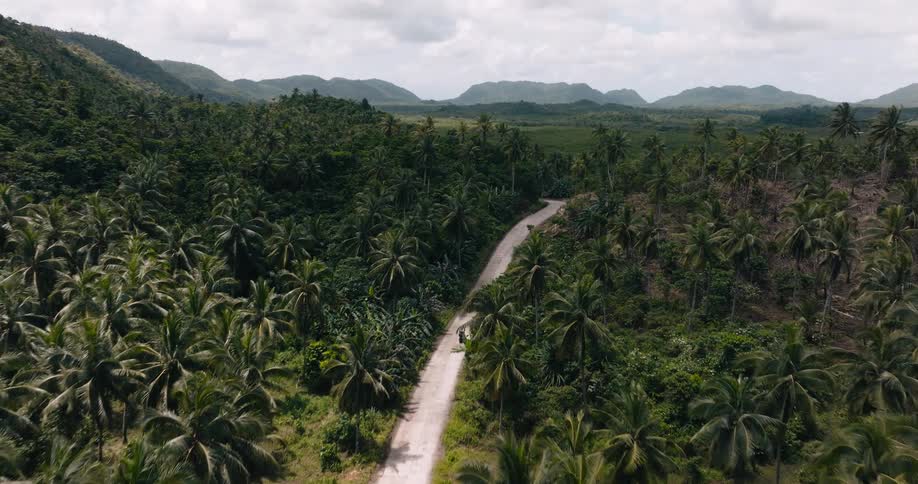 Aerial view of a motorcyclist winding through a tropical jungle road with palm trees and mountains in the distance