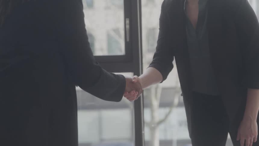 Business professionals shaking hands in greeting inside an office