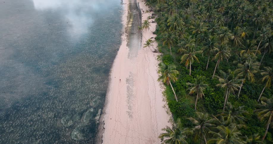 Woman walking on a tropical beach with palm trees overlooking the coast