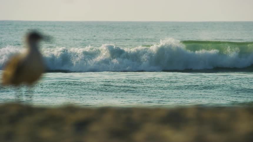 On high ocean waves a person is seen surfing