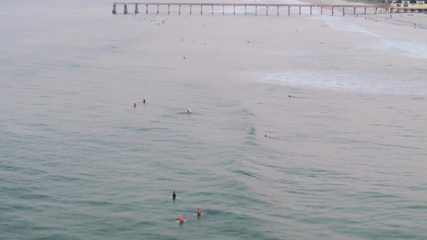Surfers are in the water waiting for waves to ride