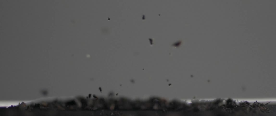 Dirt particles jumping off the ground and moving around