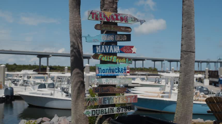 Colorful destination on signs on palm tree next to marina