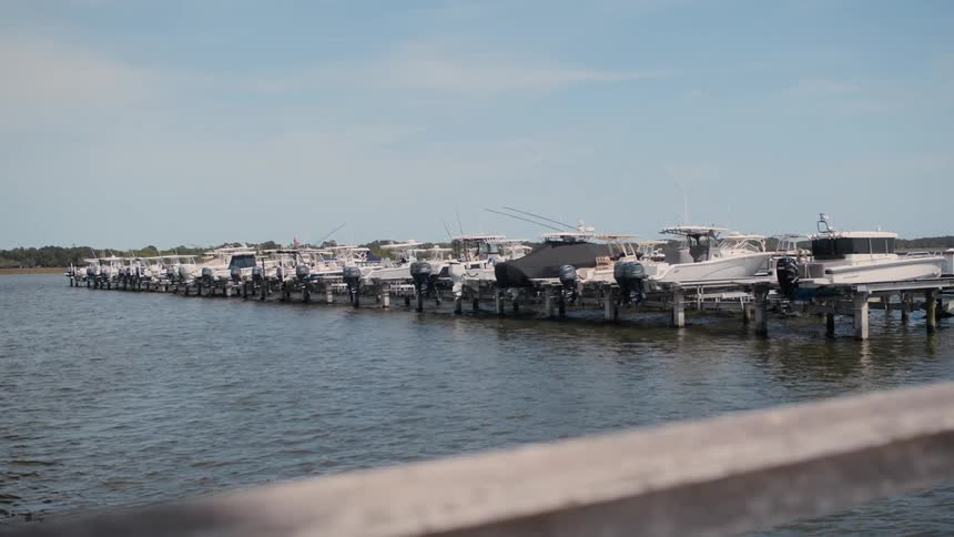 Numerous boats are docked at a long pier extending into the water under a clear sky