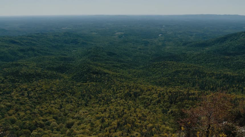 A vast forested landscape extends into the distance under a slightly hazy sky suggesting a remote or mountainous area
