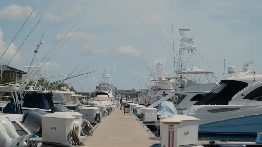 A footage of a shoreside