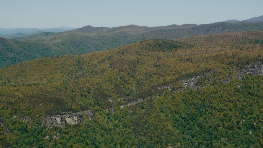 Top view of mountain vegetation