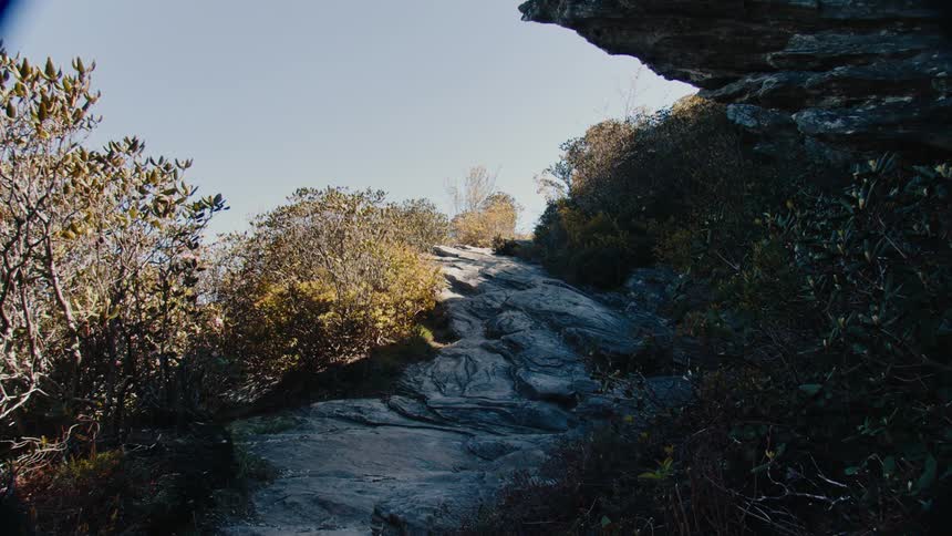 Trees with their fall foliageline a patch of stone near an overhanging ledge on an autumn day
