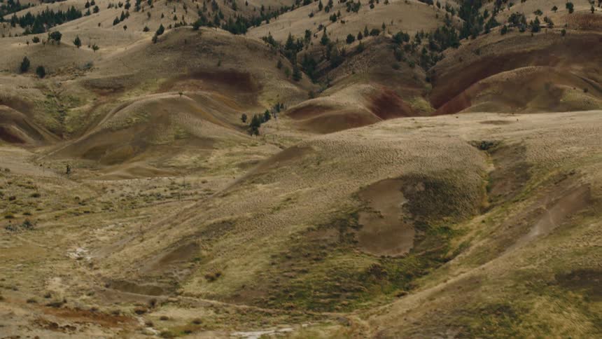 A large area with trees grass and many rolling hills with green trees on the land