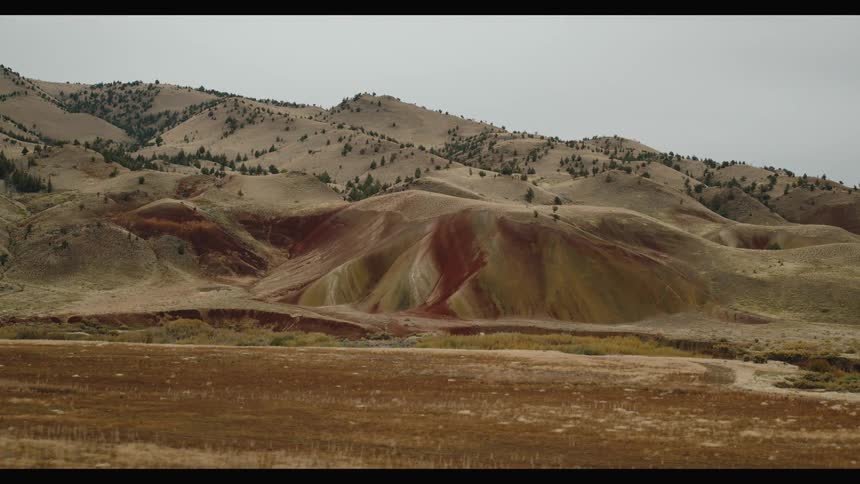 A landscape shot shows rolling hills with dry patchy vegetation and scattered trees under an overcast sky