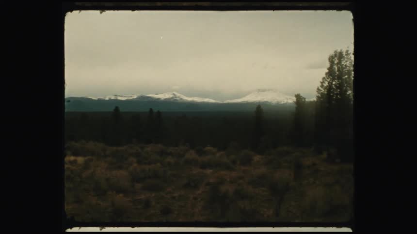 Conifer forest separates fields from snow covered mountains on an overcast day