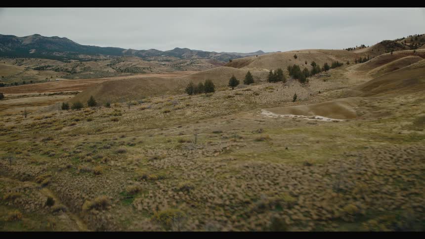 Rolling arid hills dotted with sparse clusters of evergreen trees stretch across the landscape