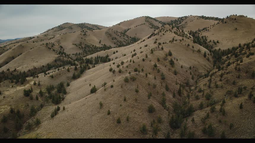 An aerial view of a vast rolling landscape of dry hills and sparse trees