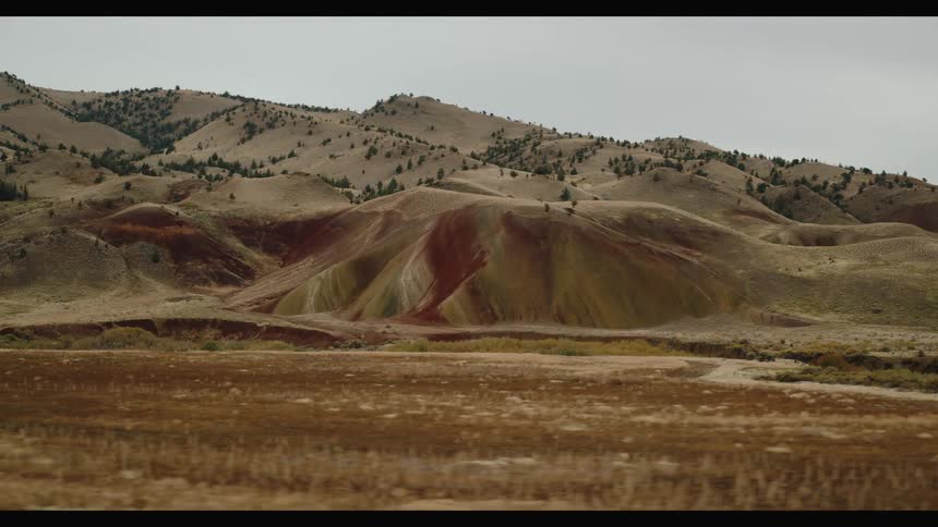 A landscape shot shows rolling hills with dry patchy vegetation and scattered trees under an overcast sky