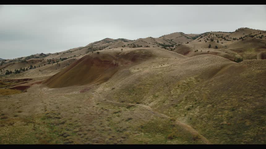 Rolling arid hills dotted with sparse clusters of evergreen trees stretch across the landscape