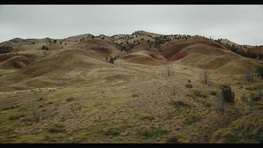 Drone flight over small hills and valleys covered by dry grass and some trees