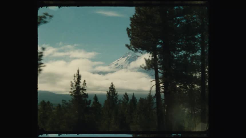 A forest scene with tall pine trees framing a cloudy sky and distant mountain range