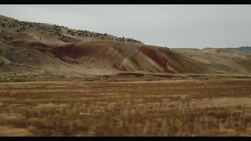 A landscape shot shows rolling hills with dry patchy vegetation and scattered trees under an overcast sky