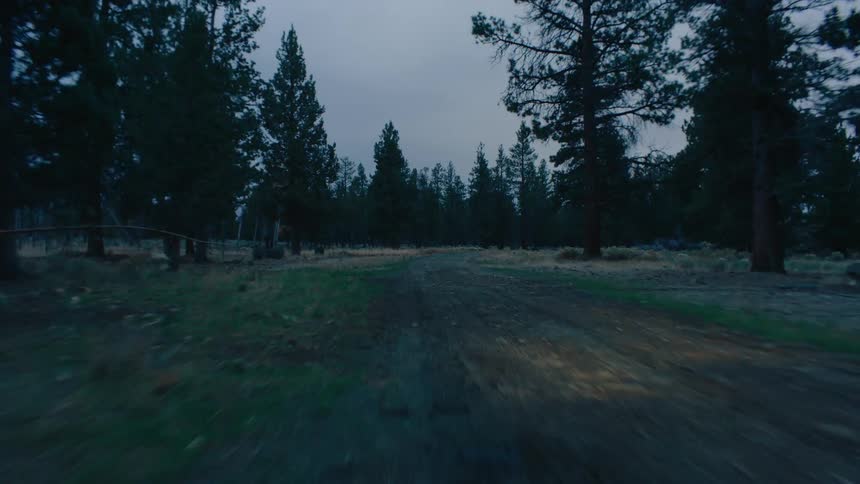 Driving on a dirt road through the forest at dusk