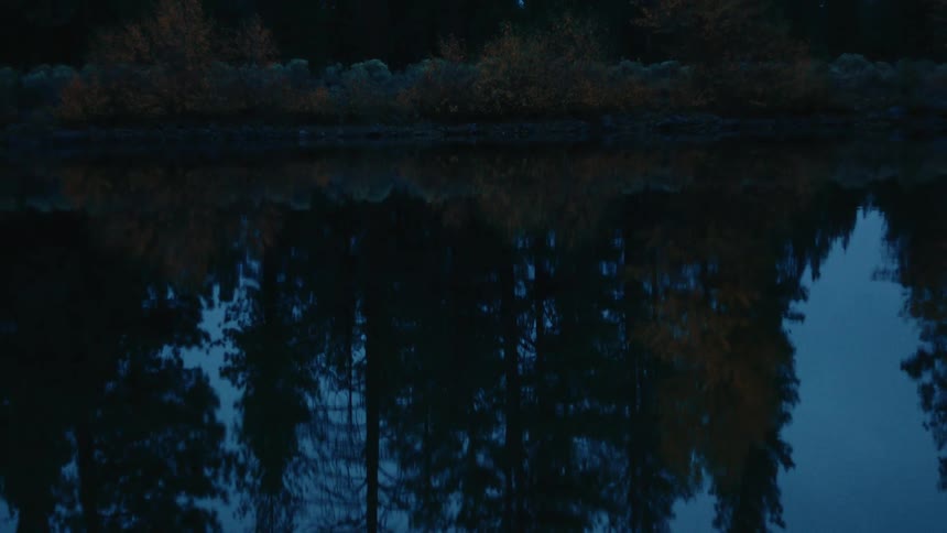 A tranquil dark scene of trees and foliage reflected on the surface of calm water