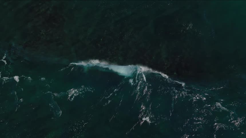An aerial of a large powerful wave breaking in the ocean its white foam contrasting against the deep blue water