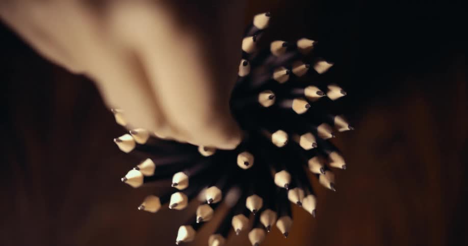A person removes a pencil from the cup