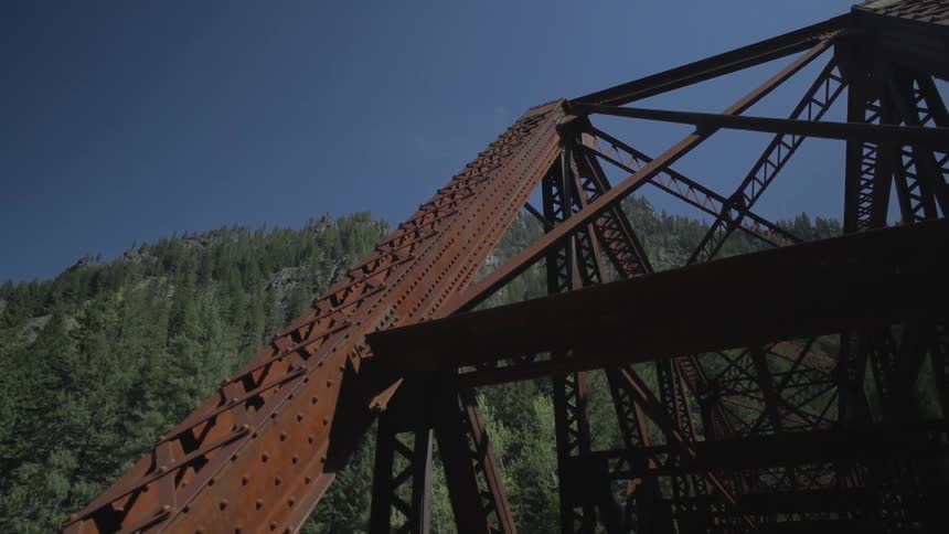 Large bridge in a forest