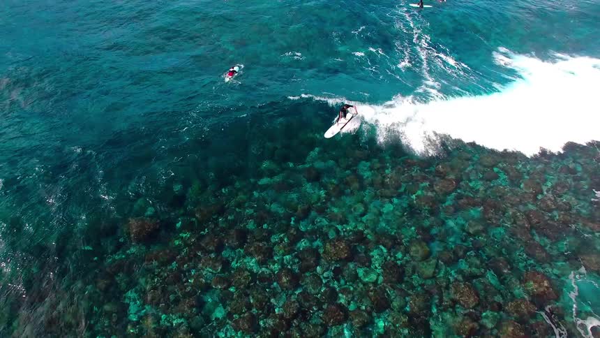 Surfers are riding waves in the blue water