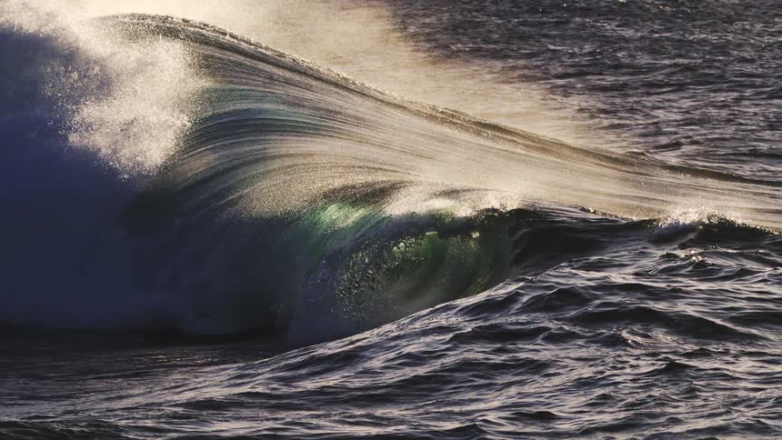 A powerful wave its water a mix of deep green and white spray curls and crashes in the ocean with sunlight glinting off the surface and highlighting its texture and movement