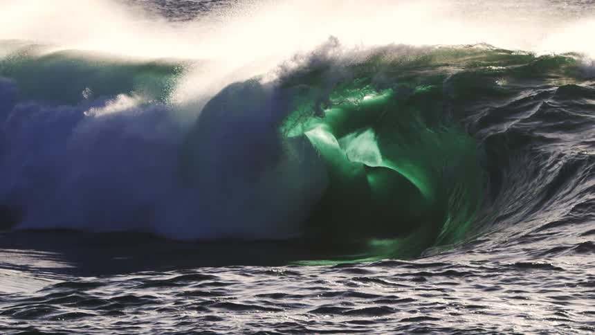A powerful ocean wave surges upwards its dark green face contrasting with the bright white foam at its crest as it begins to break