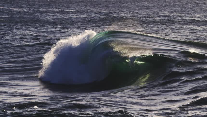 A single dark ocean wave gathers momentum and breaks dramatically in slow motion sunlight catching the spray