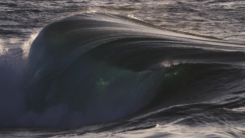 A dark rolling wave its surface reflecting light and creating a sense of movement and power