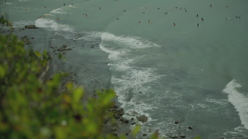 The shore is full of surfers