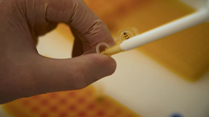 A scientist fills a small vial and puts it in a container