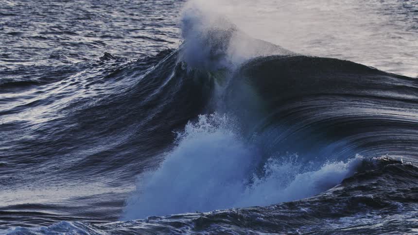 Strong waves are moving in the ocean sea