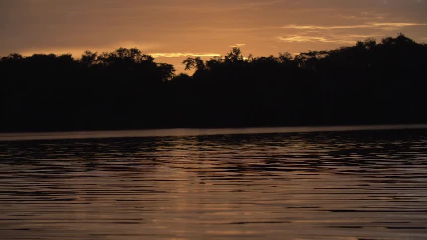 A serene sunset deep in the Amazon basin with dark silhouettes of trees lining the distant shore
