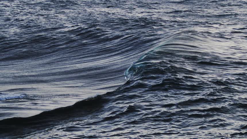 A small wave is forming in the ocean