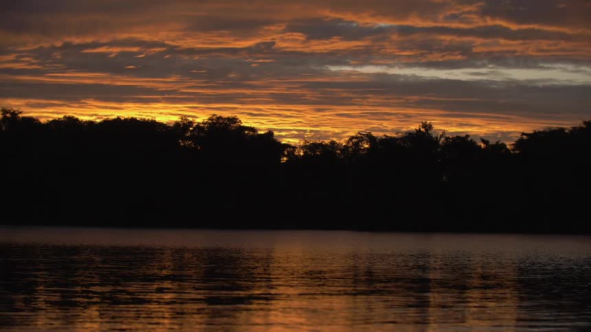 A landscape shot of a forest on a waterfront at sunset