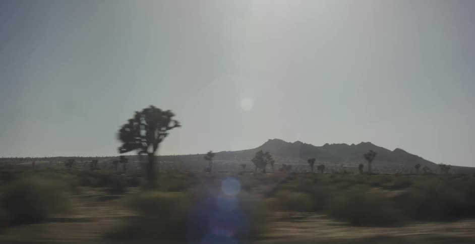 A footage of a plane land