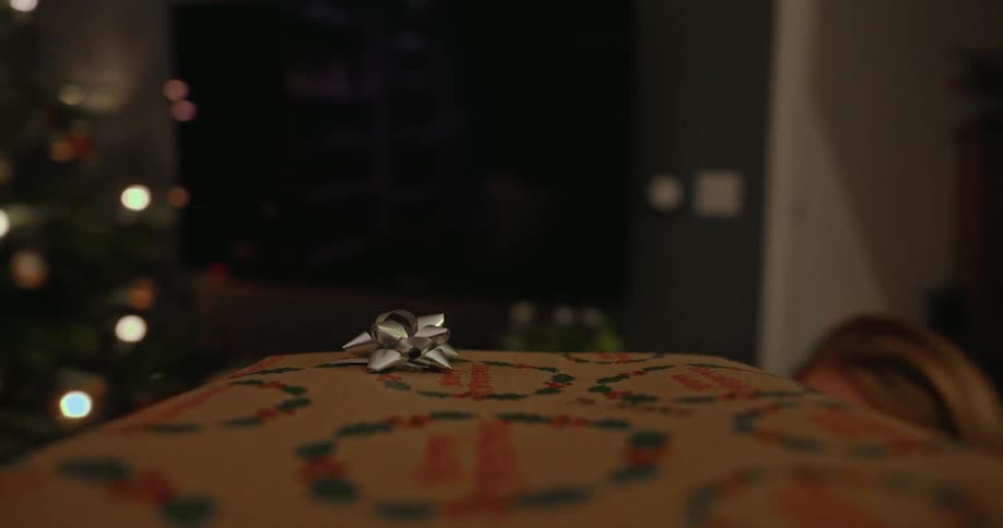 Point of view of someone holding a wrapped gift in a room with a christmas tree
