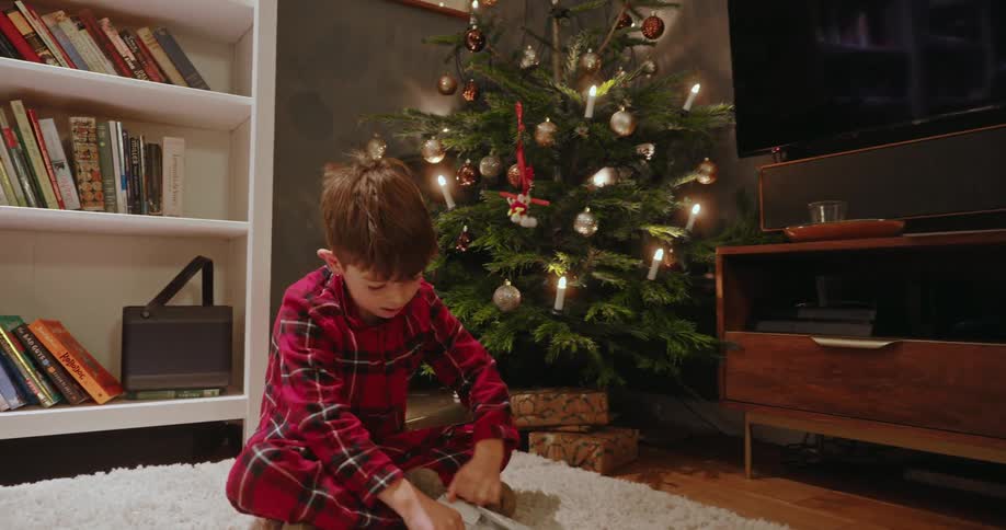A boy is opening a christmas gift in front of the tree
