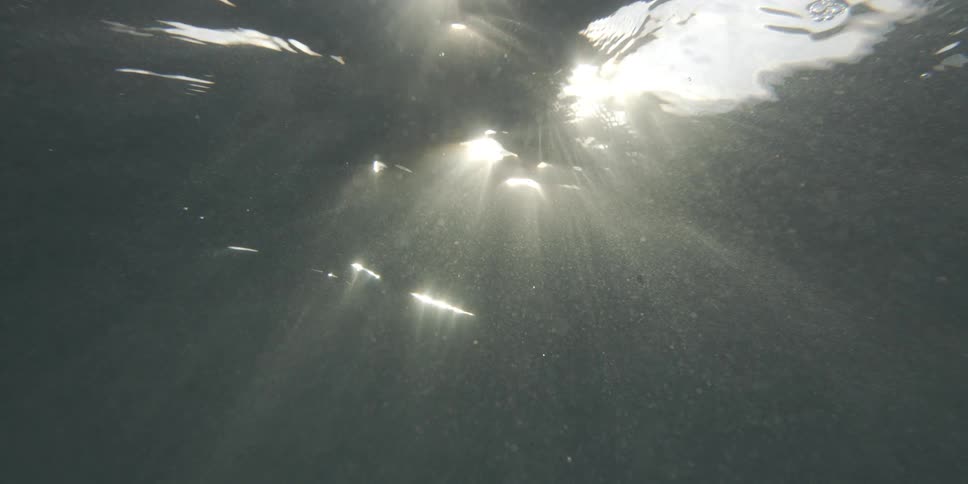 The sun shines through the dark water